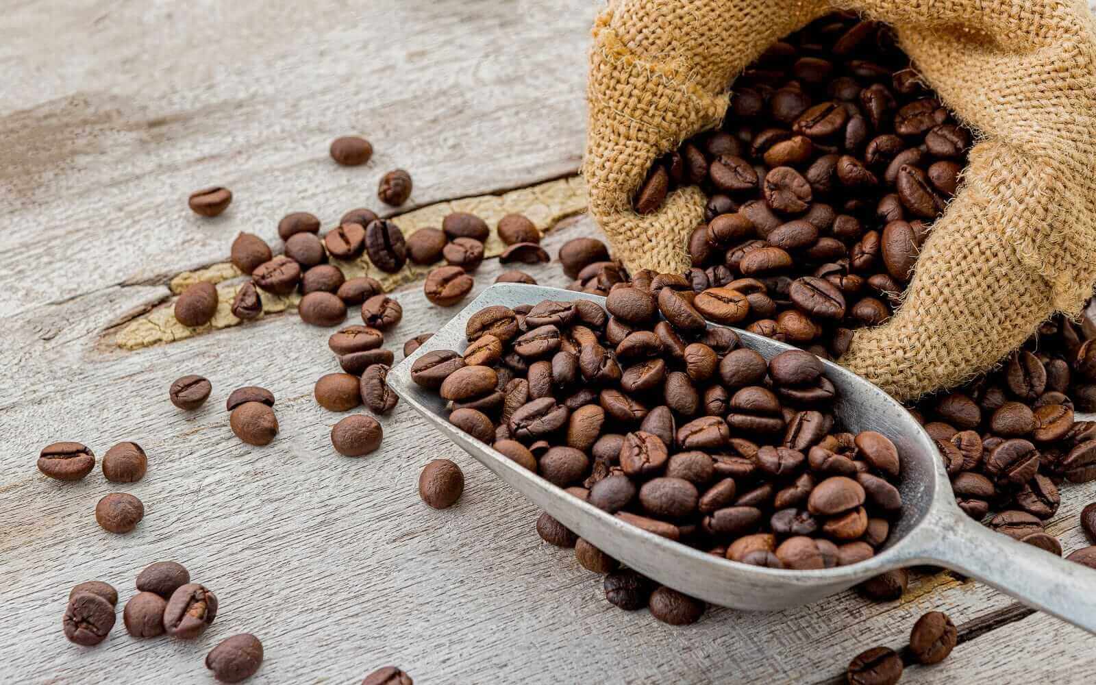 Cà phê Robusta