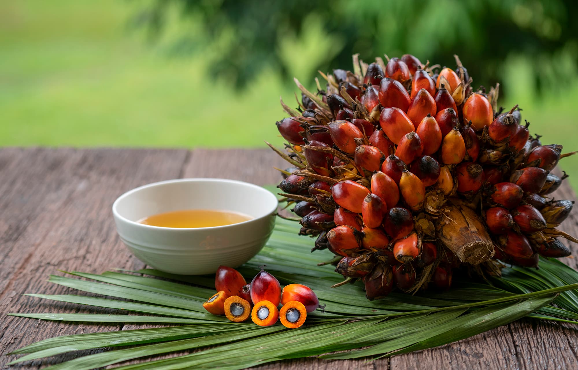 Dầu cọ thô